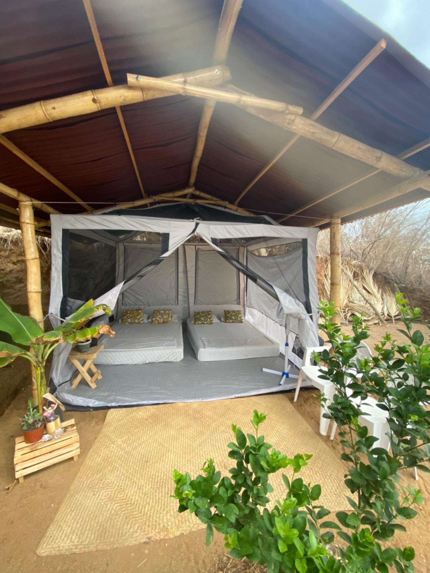 Bajo Las Estrellas Eco Glamping มาซุนเต ภายนอก รูปภาพ